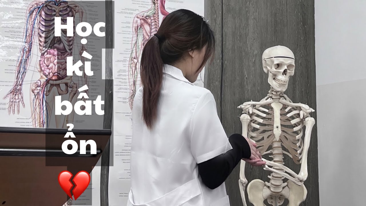 Chuyện nhập học giờ mới kể - Kì học mùa xuân